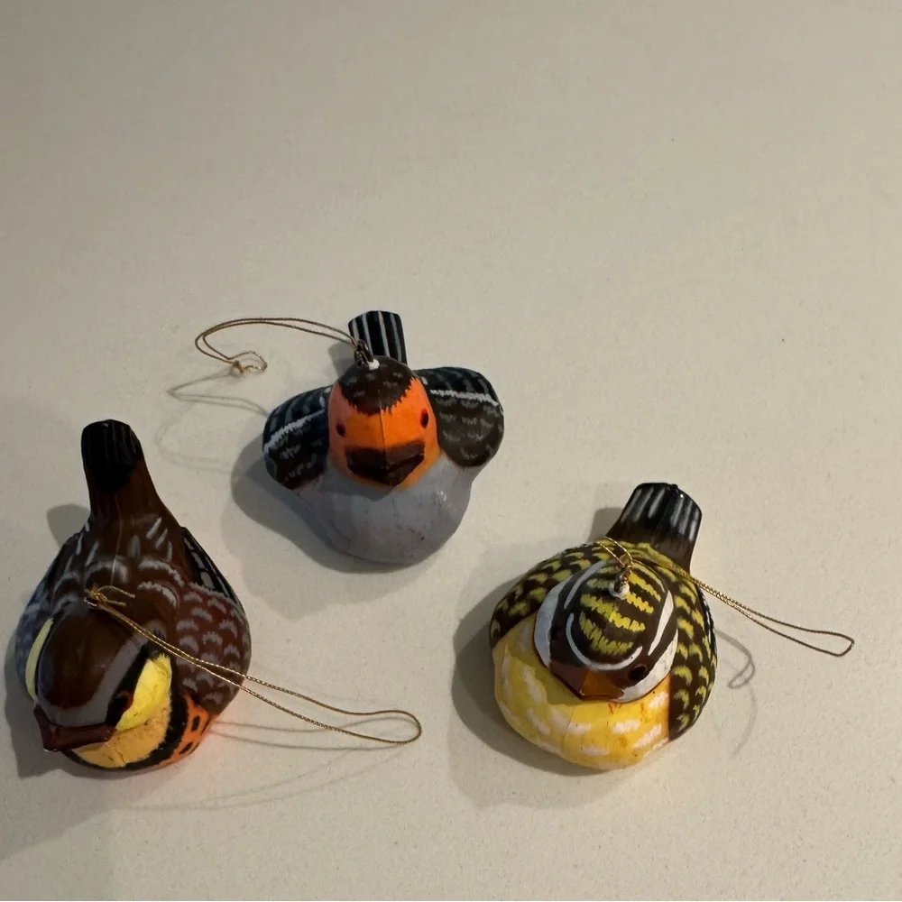 Colorful Bird Ornaments Set